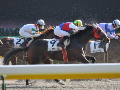 2011/02/13 東京07R
