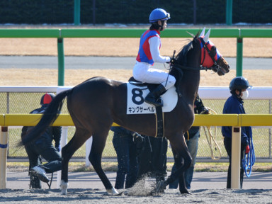 2012/01/26 東京08R