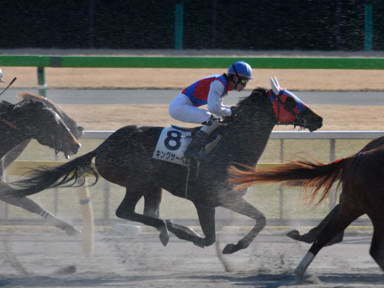 2012/01/26 東京08R