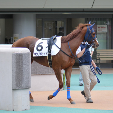 2022/05/07 東京08R