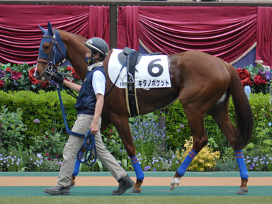 2022/05/07 東京08R