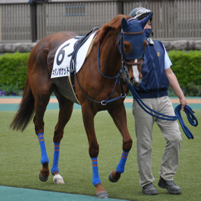 2022/05/07 東京08R