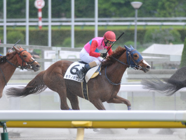 2022/05/07 東京08R