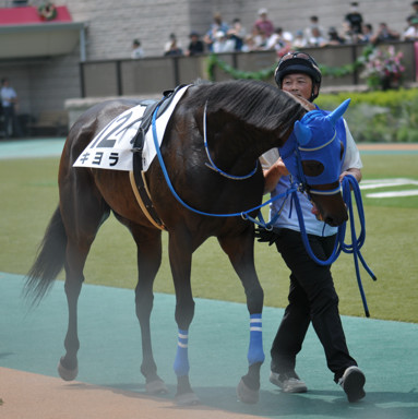 2023/06/18 東京07R