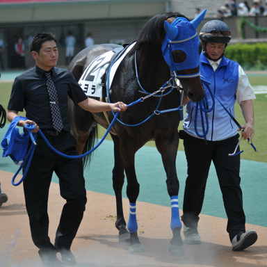 2023/06/18 東京07R
