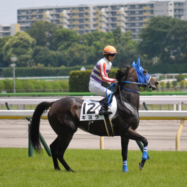 2023/06/18 東京07R