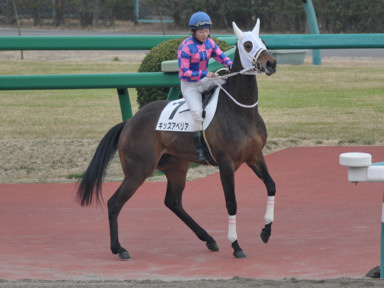 2015/03/15 中山08R