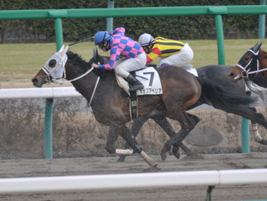 2015/03/15 中山08R