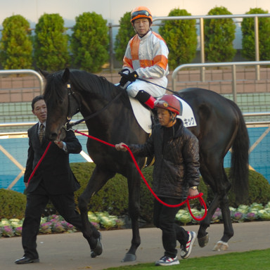 2008/12/07 中山12R