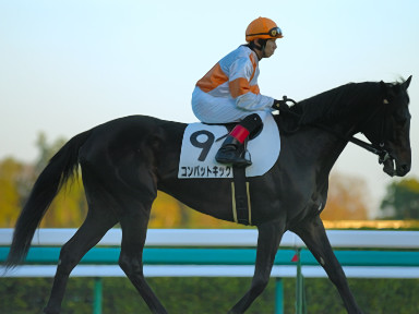 2008/12/07 中山12R