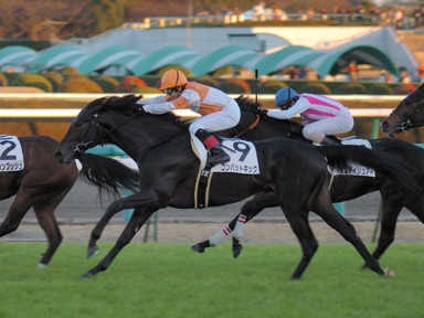 2008/12/07 中山12R