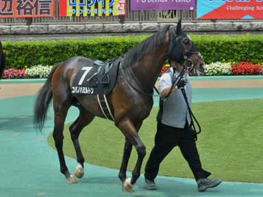 2016/06/05 東京09R