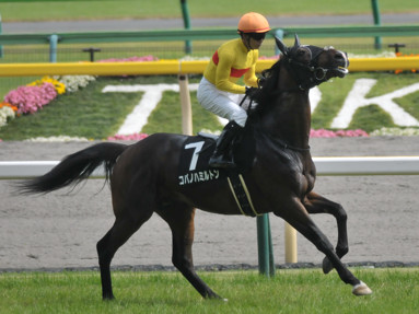 2016/06/05 東京09R