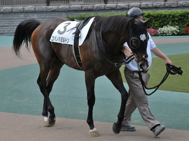 2016/06/26 東京12R
