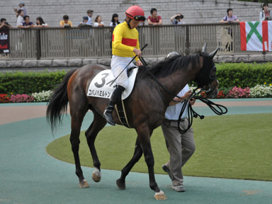 2016/06/26 東京12R
