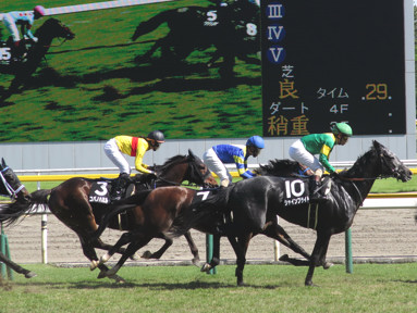 2017/05/14 新潟10R