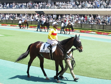 2017/05/21 東京07R