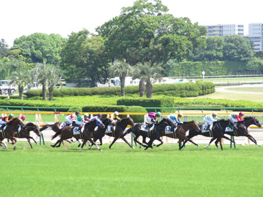 2017/05/21 東京07R