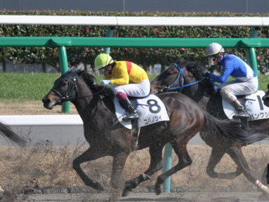 2014/03/08 中山08R