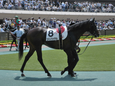 2014/05/24 東京07R