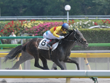 2014/05/24 東京07R