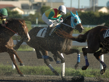 2006/10/25 ‘D‹´08R
