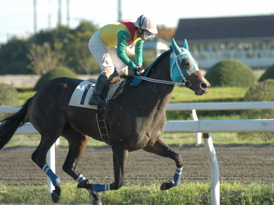 2006/10/25 ‘D‹´08R