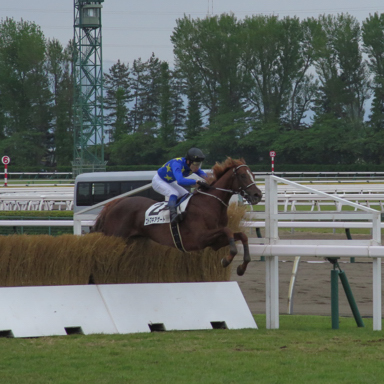 2021/05/16 新潟05R