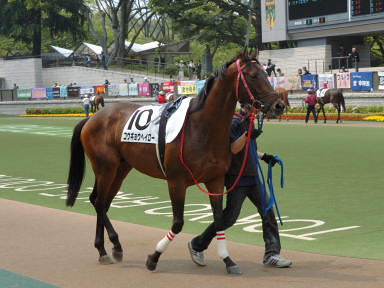 2007/04/28 東京07R