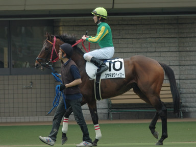2007/04/28 東京07R