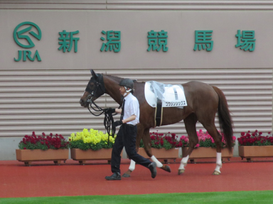 2021/05/16 新潟09R