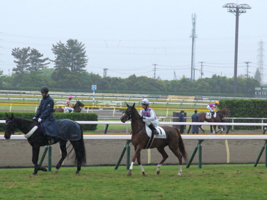 2021/05/16 新潟09R