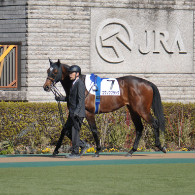 2023/02/18 東京07R