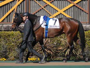 2023/02/18 東京07R