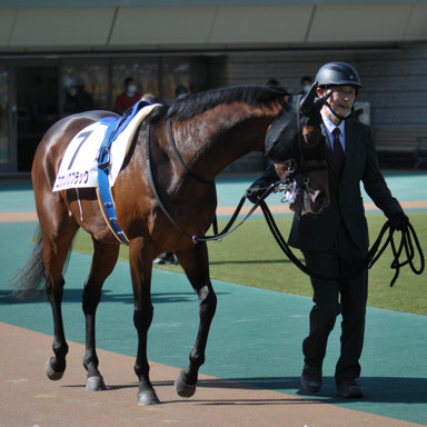 2023/02/18 東京07R