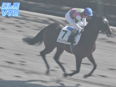2023/02/18 東京07R