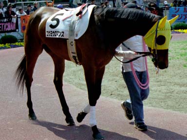 2003/03/30 ���R08R