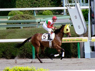 2003/03/30 ���R08R