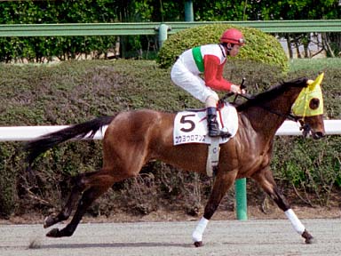 2003/03/30 ���R08R