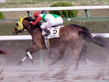 2003/03/30 ���R08R