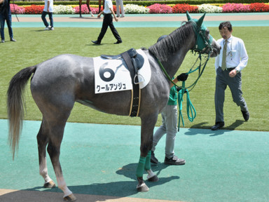 2015/06/28 東京07R
