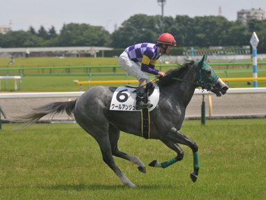 2015/06/28 東京07R