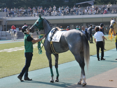 2015/10/12 東京08R