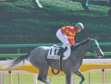 2015/10/12 東京08R