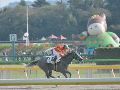 2015/10/12 東京08R