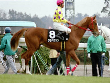 2000/01/06 中山09R