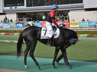 2015/11/21 東京06R