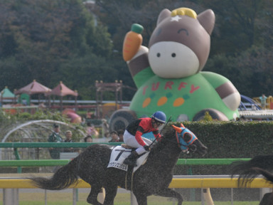2015/11/21 東京06R