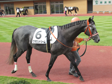2016/10/22 新潟08R