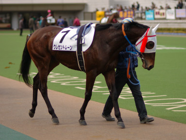 2005/02/05 東京06R